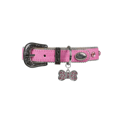 Pure Western Tilly Dog Collar