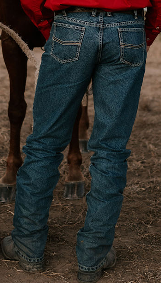 Pilbara Western Mens Brahman Jeans