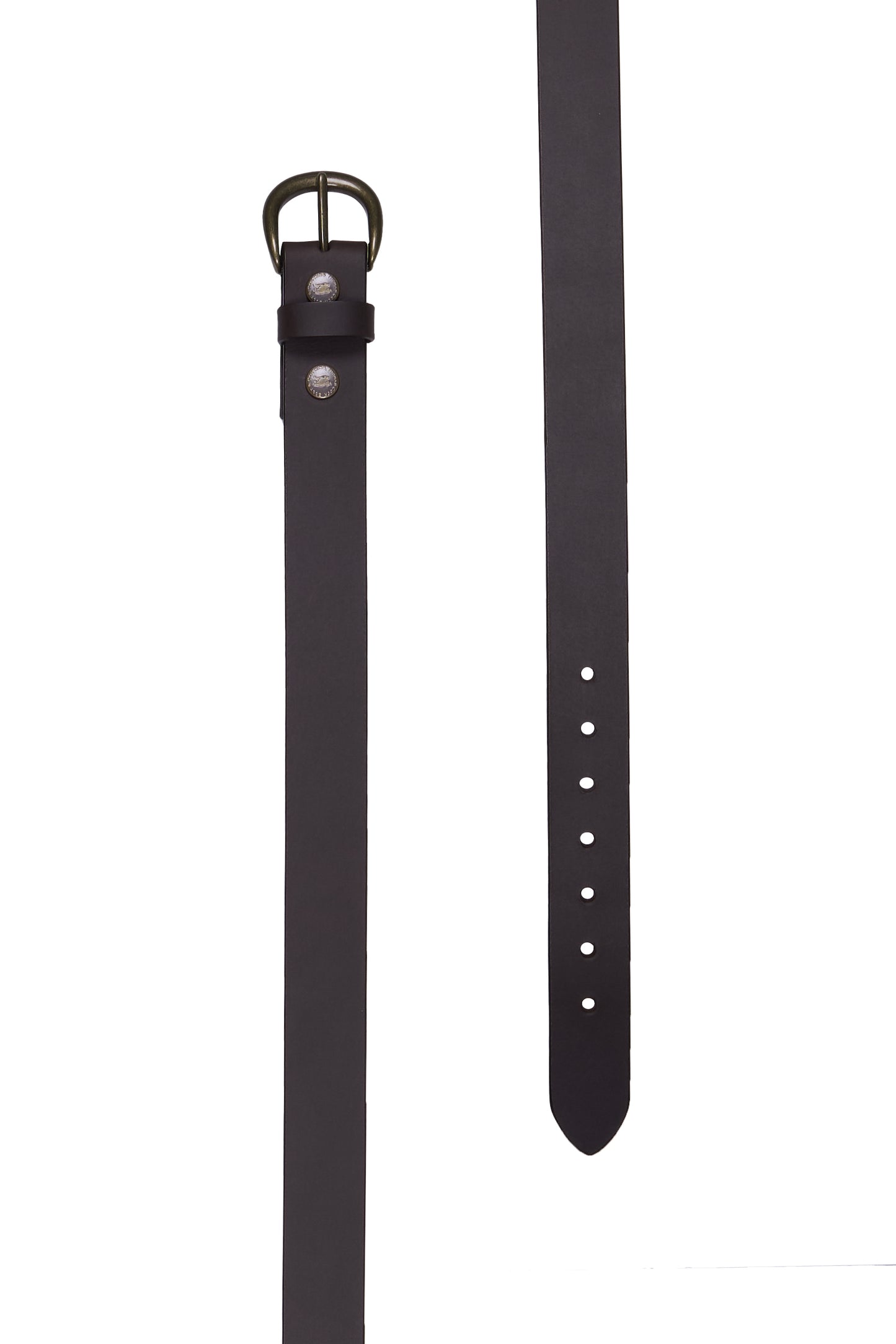 Thomas Cook Robson Belt - Chocolate