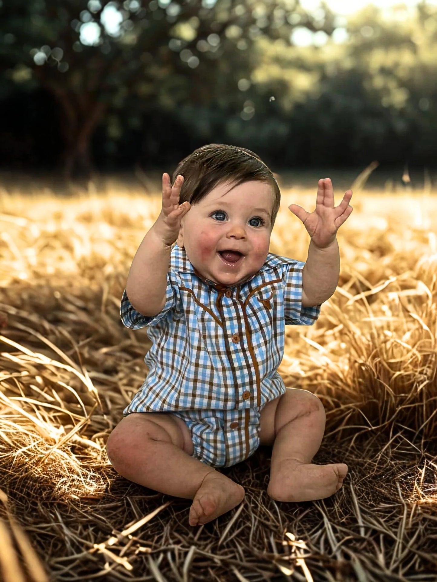 Little Windmill Clothing Co. "Denver" Baby Blue Gingham Short Sleeve Romper