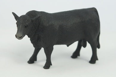 ANGUS BULL