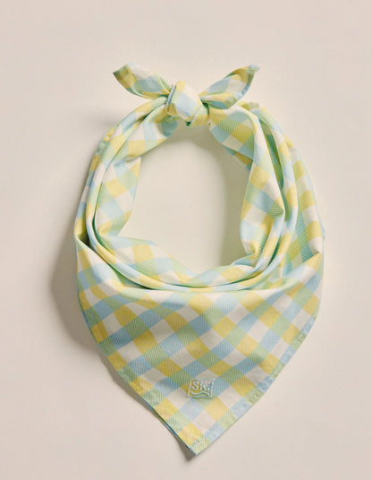 Kidman Parachilna Bandana - Sky Blue