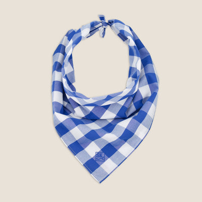 Kidman Parachilna Bandana - Mid Blue Check