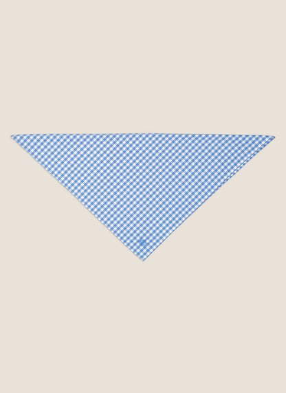 Kidman Napier Bandana - Pale Blue