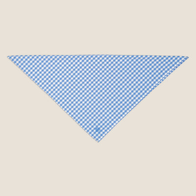 Kidman Napier Bandana - Pale Blue