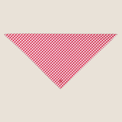 Kidman Napier Bandana - Red
