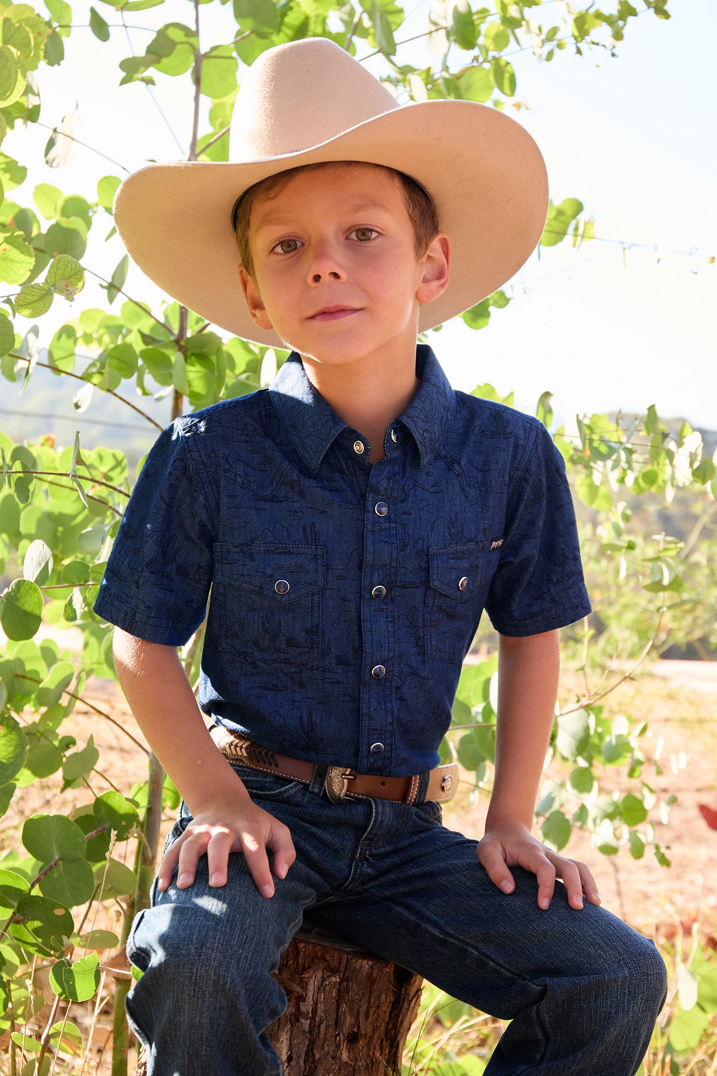 Pure Western Boys Drew Short Sleeve Shirt