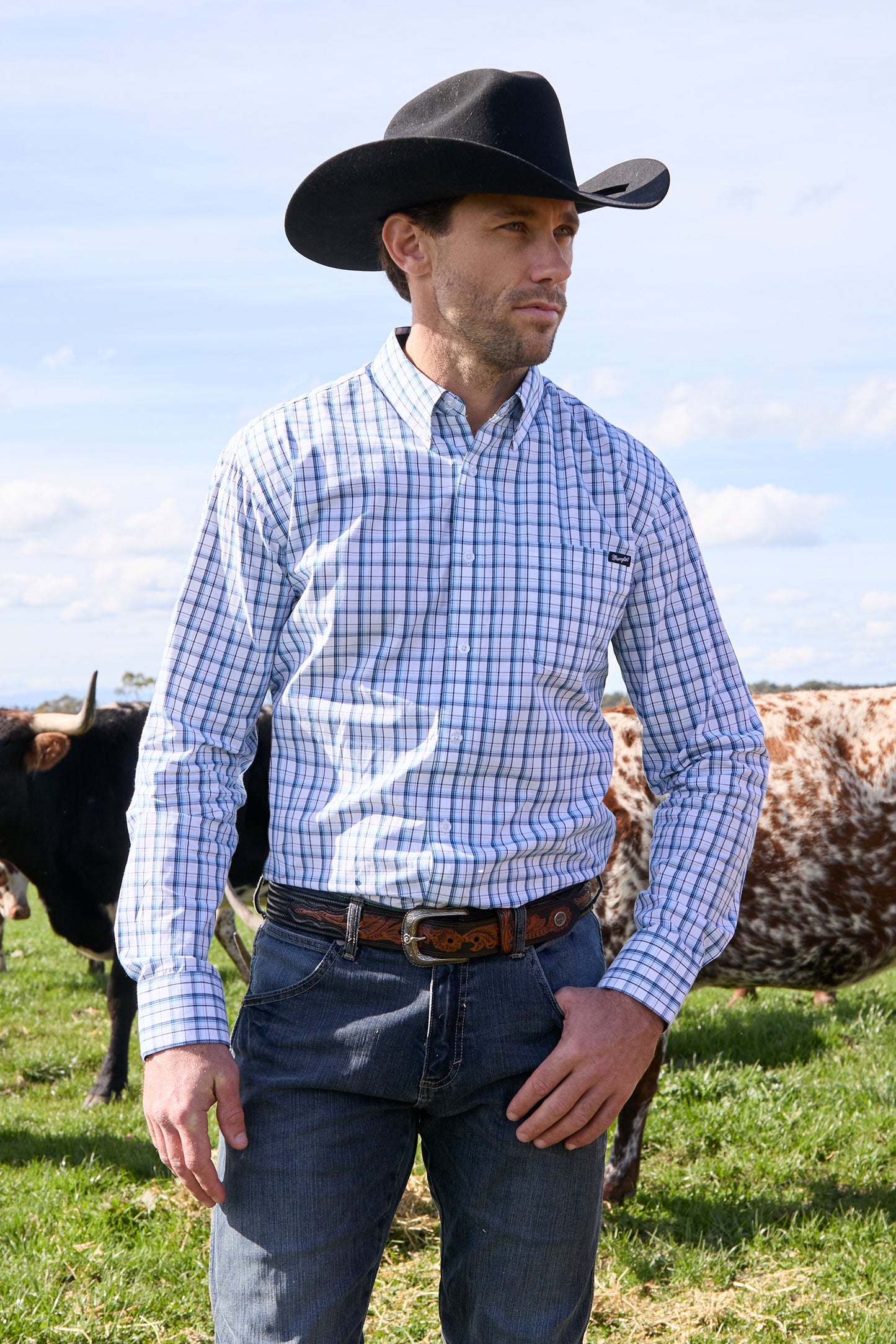Wrangler Men’s Owen Check Button Down Long Sleeve Shirt