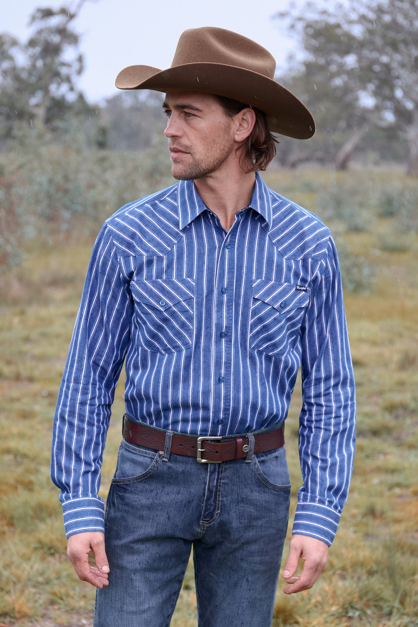 Wrangler Men’s Roy Stripe Western Button Down Long Sleeve Shirt