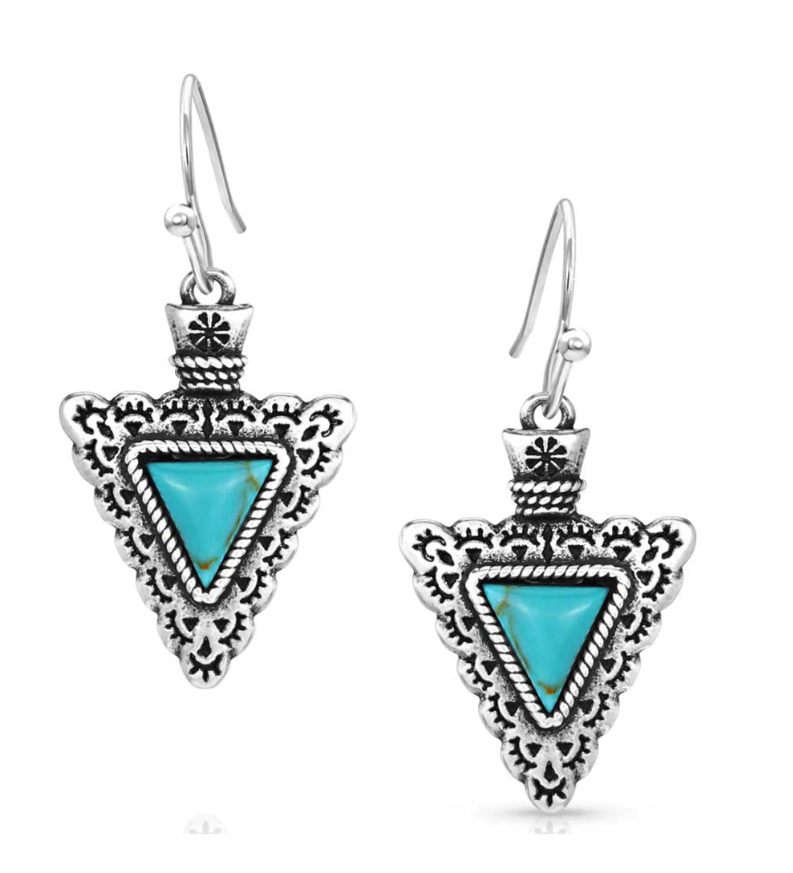 Montana Earrings ER5631