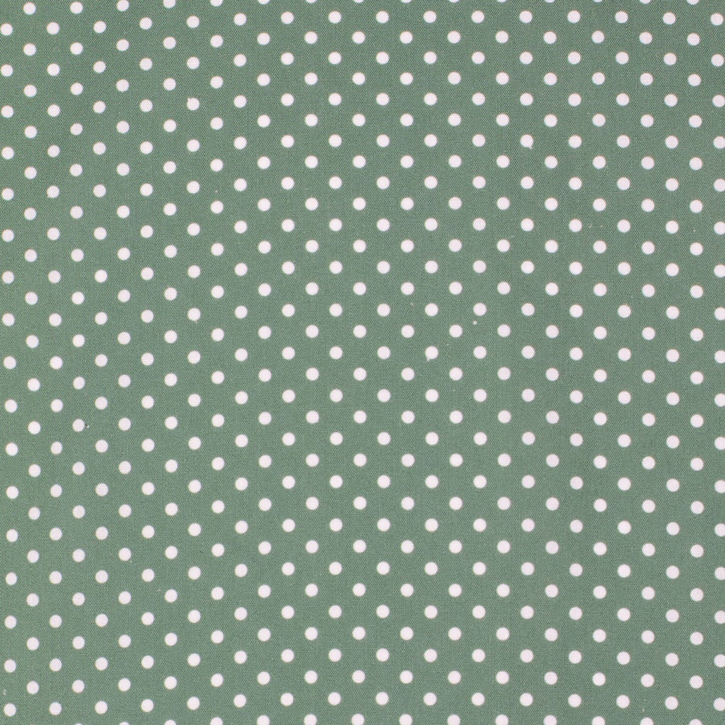 Just Country Carlee Doubled Sided Scarf -Eucalyptus & White Mini Spots/Rosewater & White Spots