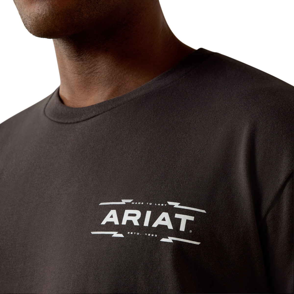 Ariat Men's Diamond Canyon T-shirt - Vintage Black